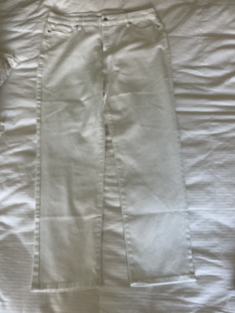 NWT style & Co women’s white jeans